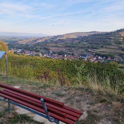 Super Aussicht auf die Lösshohlwege bei Bickensohl und im Hintergrund die Vogesen