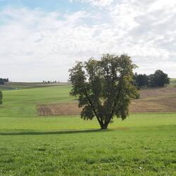 Über Hügel und Felder geht es gen Mühlbach am Inn