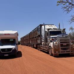 Diese Roadtrains sind die Könige der Highways