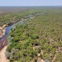 Mary River, voller Krokodile