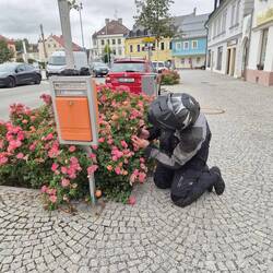 Harte Arbeit beim Fotografieren