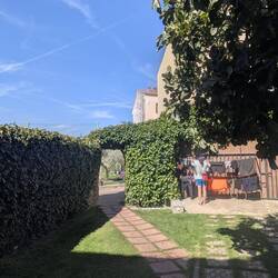 Backyard of the albergue, that's a fig tree!! They were squished on the path 🥰 also there's a POOL