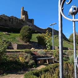 Stadtmauer Garten