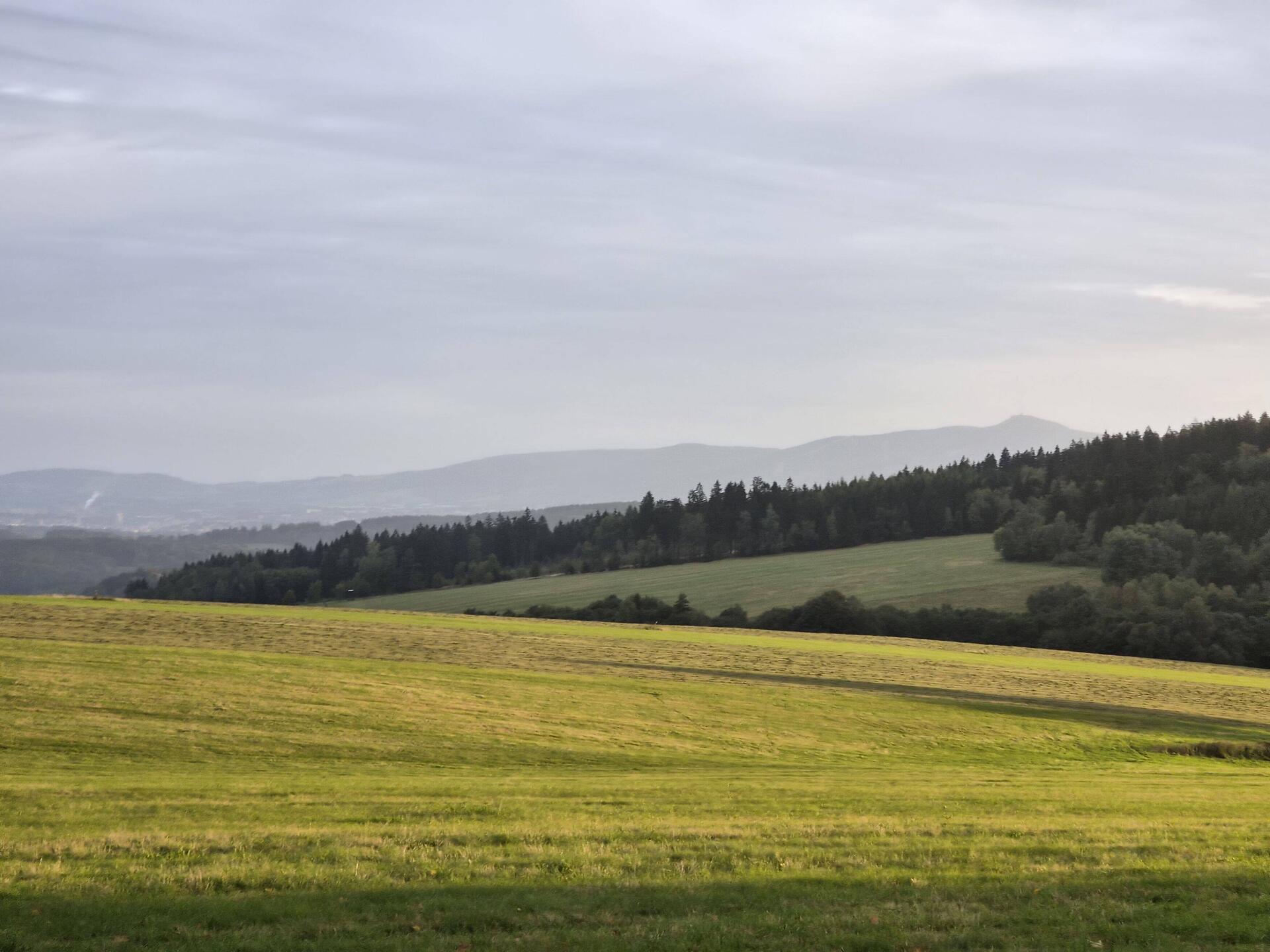 Sonne auf der Wiese