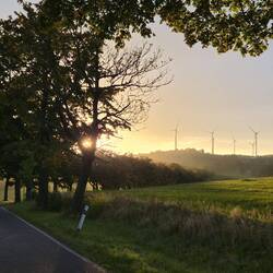 Goldener Abend