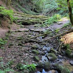 Im Butzerbachtal.