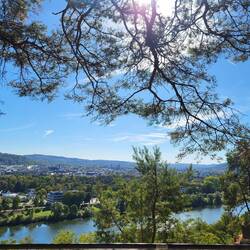 Hoch über der Mosel.