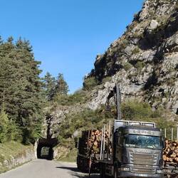Holzverladung