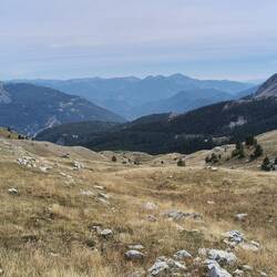 und auf die Maritimen Alpen