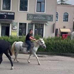 Jeder der wollte, konnte seine Reitkünste auf dem Pferde zeigen