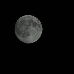 Heute am 25.09.2026 hatten wir Vollmond 🌝