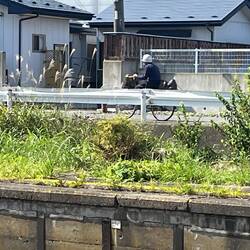 Local cyclist