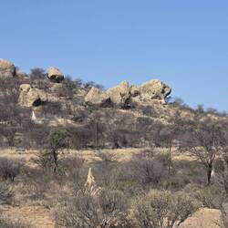 Changing landscapes
