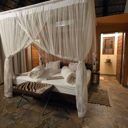 A spacious room - the nets weren't needed in September