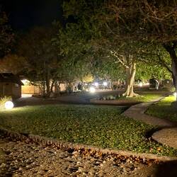 The grounds at night