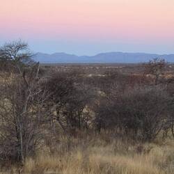As we returned there were sunset colours