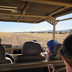 Still no animals - a bit like Jurassic Park