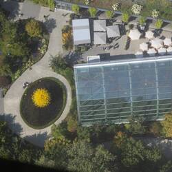 Da sind wir gleich - Chihuly Garden & Glass