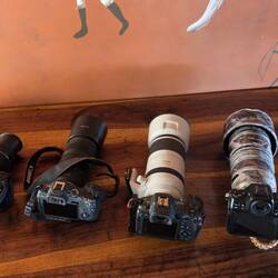 Cameras in a row - Greg was efficient and had taken his to his room