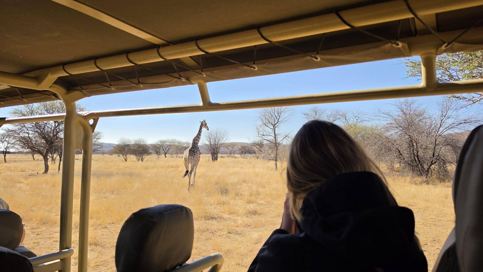 I really liked seeing the giraffes