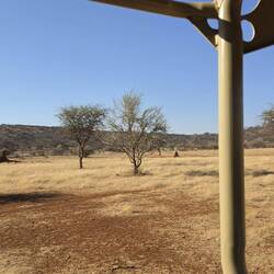 Love those termite mounds