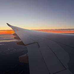 Zurück nach Europa