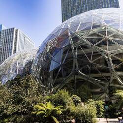Amazon Spheres