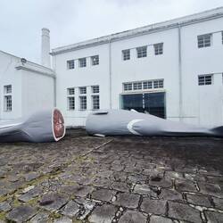 Das Walfangmuseum in unserem Ort.