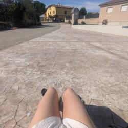 Sunnin the dogs
