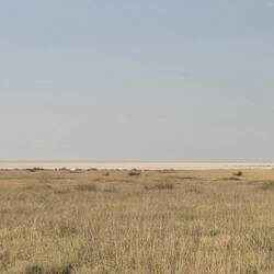 It's a huge, completely flat area but I think you need guides to visit it