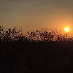 The sun is setting and we must leave park