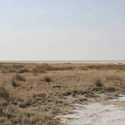 Looking towards the Etosha pan