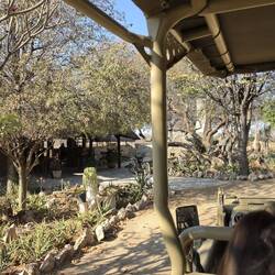 Arriving back at the lodge