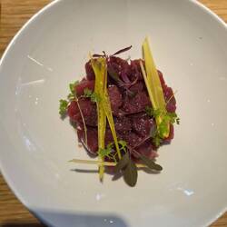 Blauflossen-Thunfisch