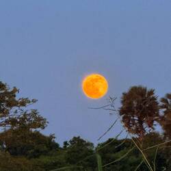 Auf der anderen Seite kommt der Mond aus dem Gebüsch 🙂