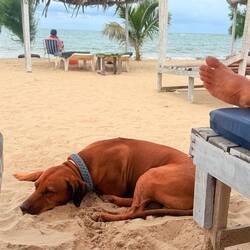 Fauler Strandtag 😎