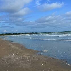 Wieder am Meer 🌊