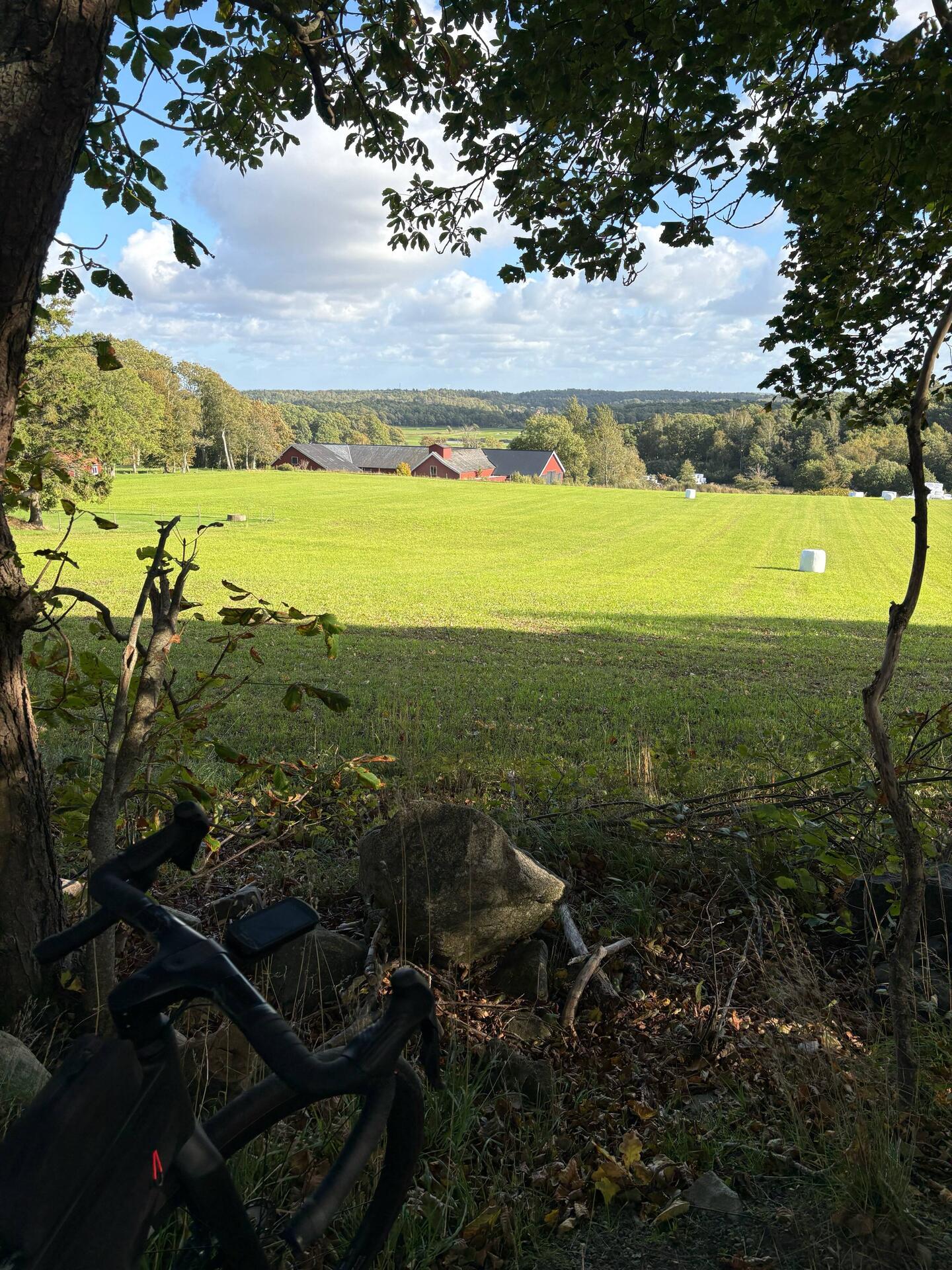 🏞️