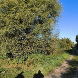 Unser Weg ist rechts