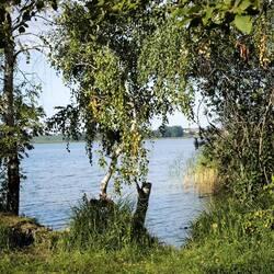 Unteruckersee