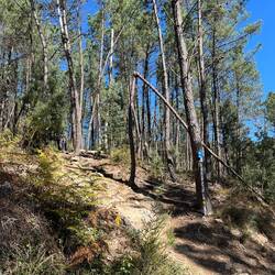 Almost at the top of Alta do Portelo
