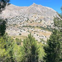 Puig Major