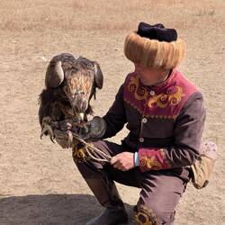 Reward for catching the 'prey'