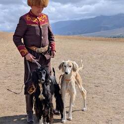 Getting ready for the hunting dog demonstration