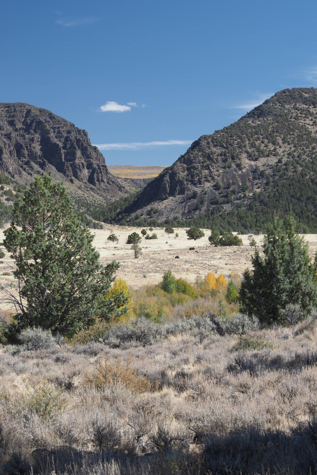 A view from the gate to Riddle Brothers Ranch