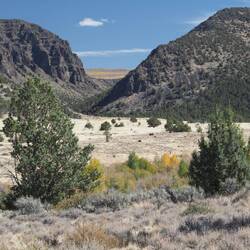 A view from the gate to Riddle Brothers Ranch