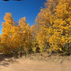 We parked briefly in a camp site
