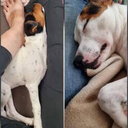 Danach erstmal Siesta