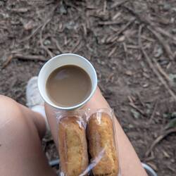 PERF