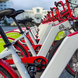 Mui being artistic with bikes lined up and ready for customers — Trondheim.